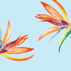 Birds of Paradise Summer Nintendo 2DS XL (2017) Skin